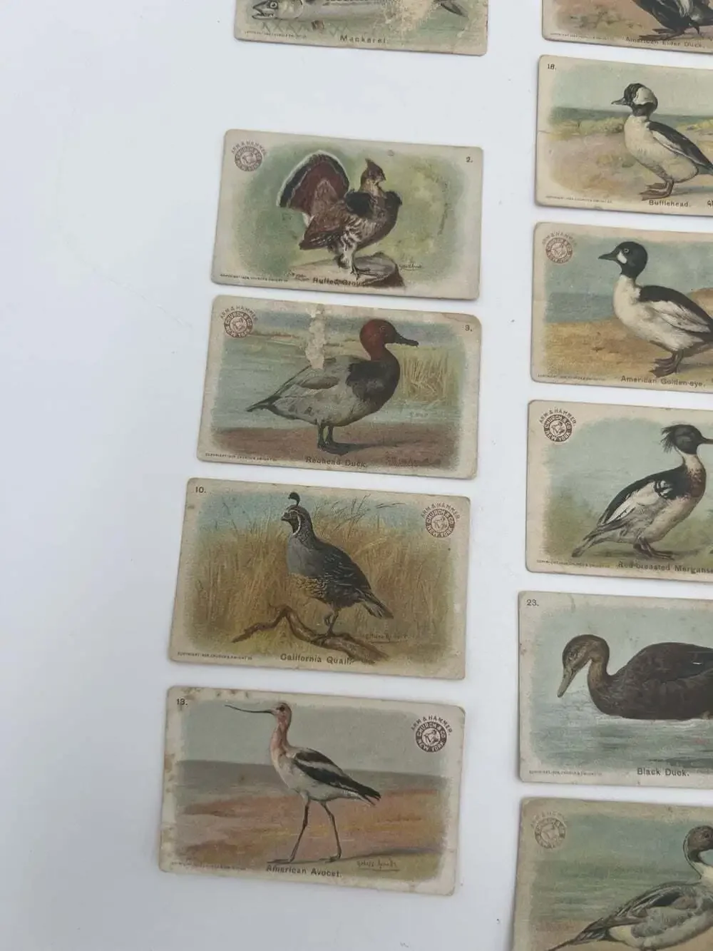 Vintage Arm & Hammer Church & Dwight Advertising Trade Cards Lot 28 Birds Fish